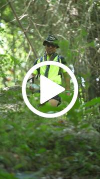 BIB:  <button type="button" onclick="openModal(27939671)" class="btn btn-primary btn-sm float-right" data-toggle="modal" data-target=".modal-high-quality">
                <i class="fa fa-download"></i> Download
                </button>